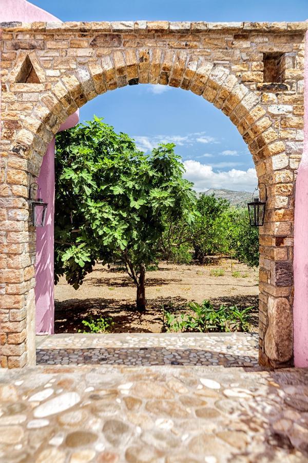 Georgilas Cave House Villa Naxos City Eksteriør billede